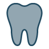 Dental Insurance